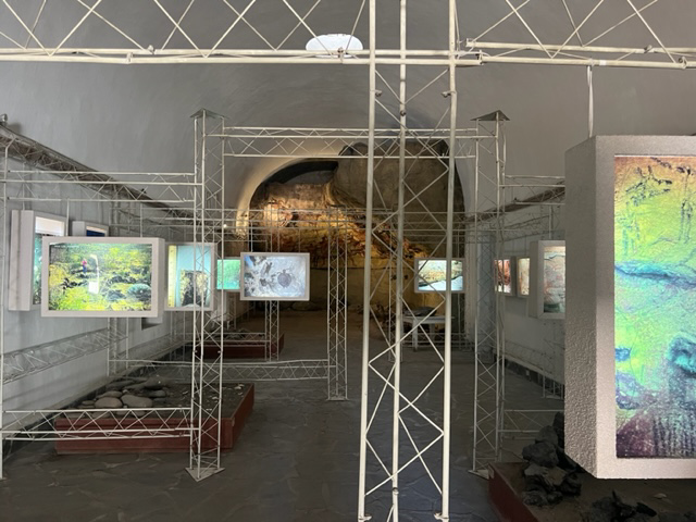 image003.png